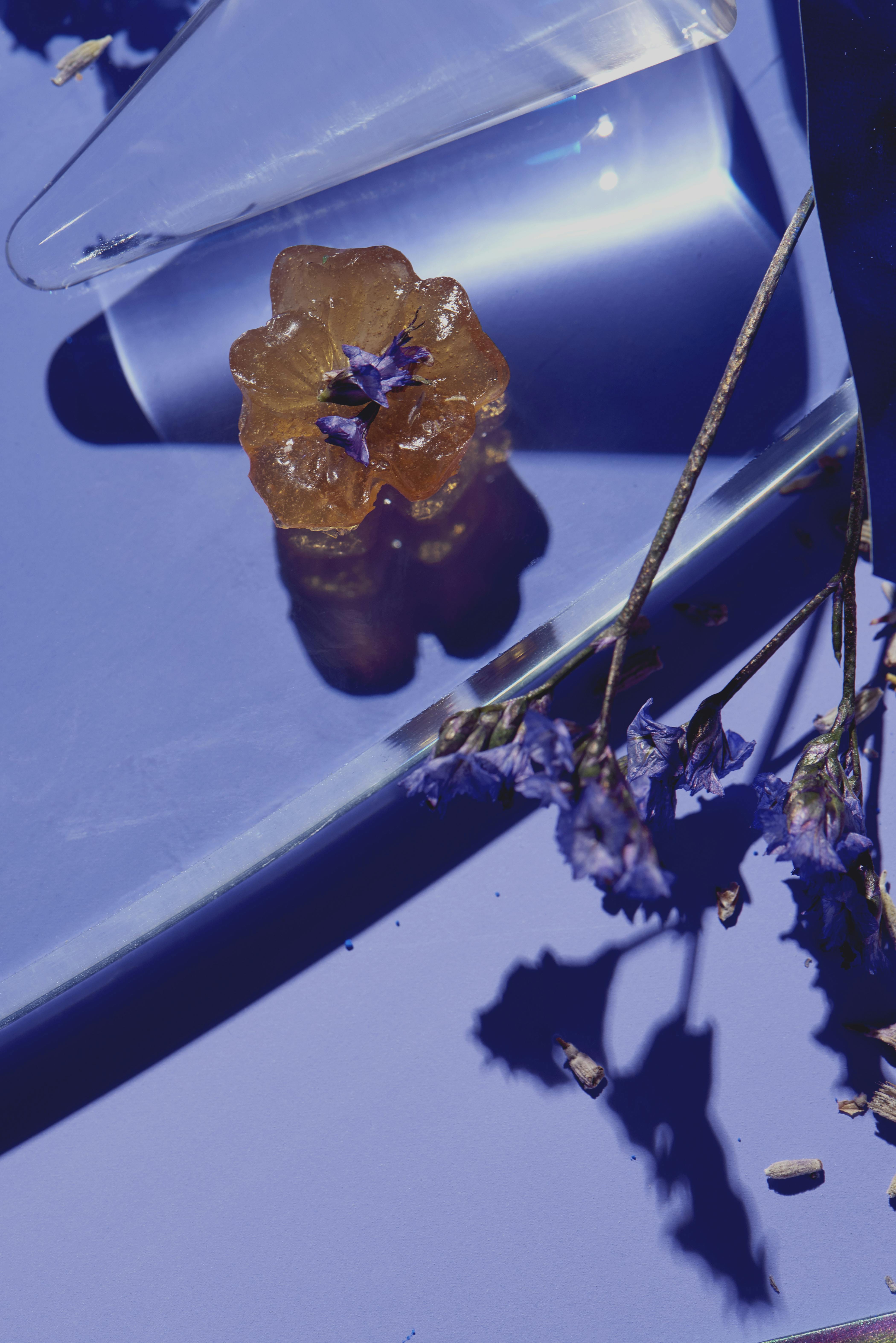 Home presentation image